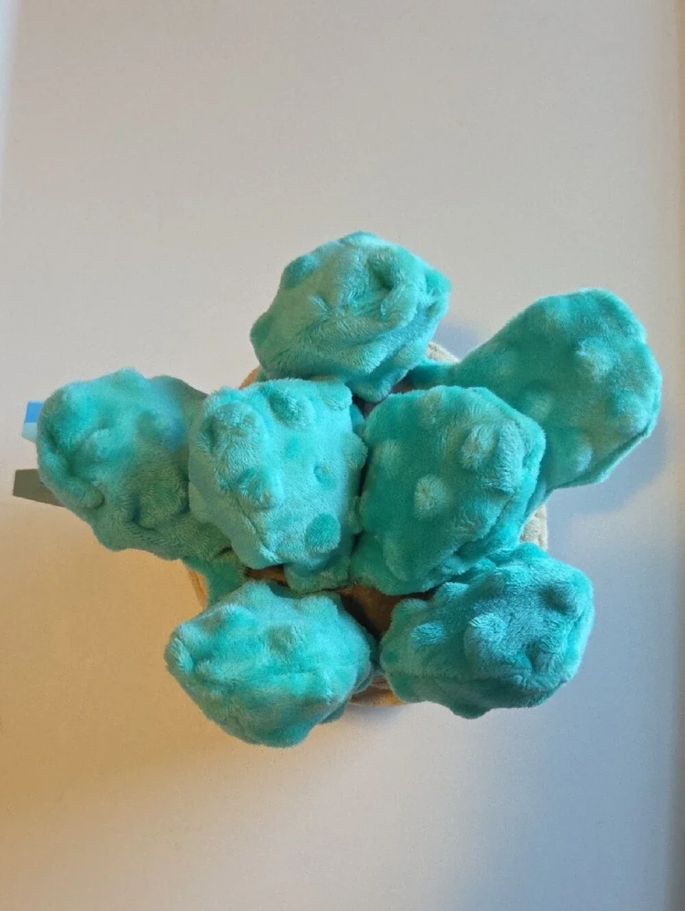 💰 3 For $30 Bark Box Plush Squeakulent Dog Toy - Teal & Cream